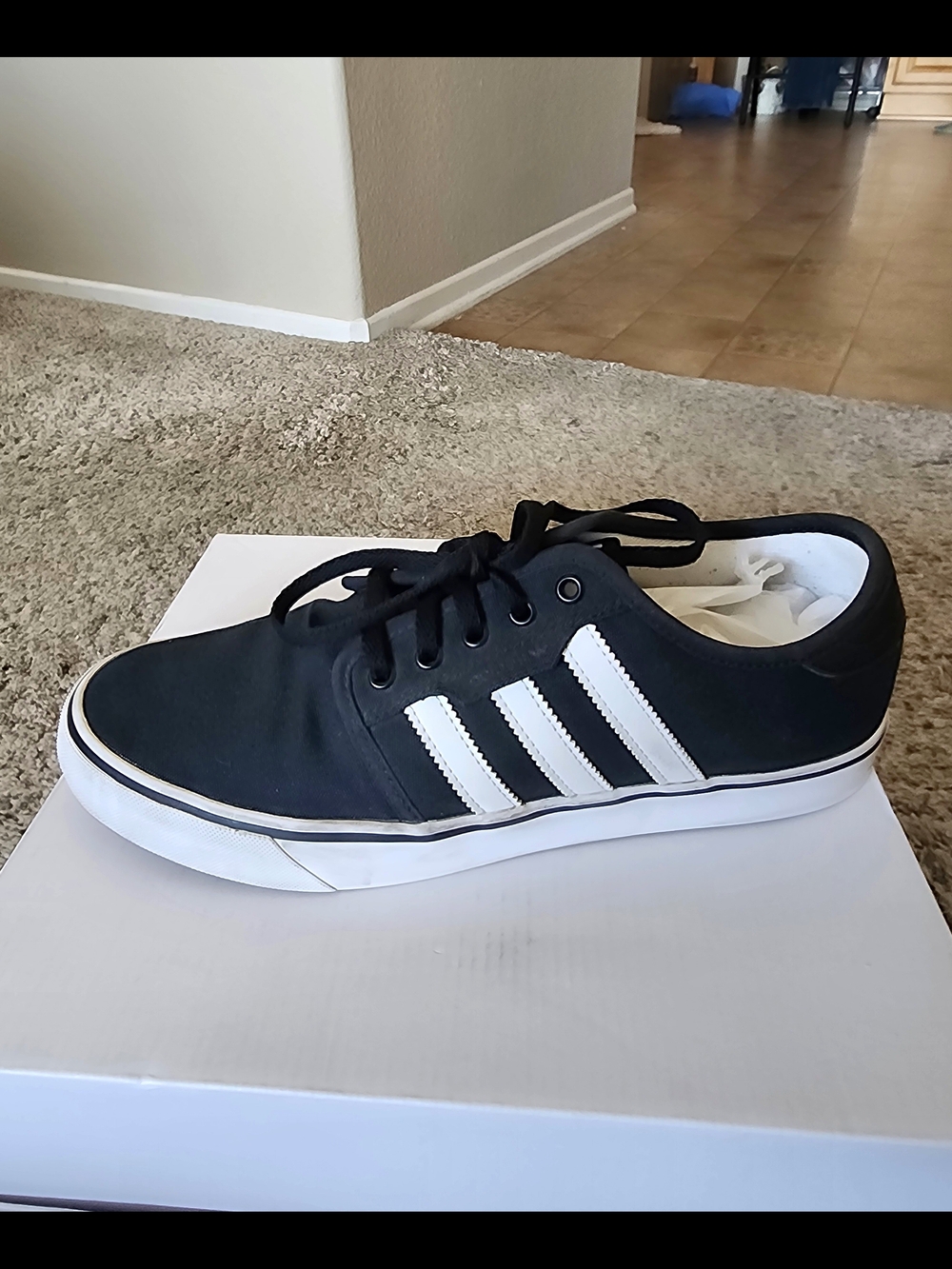 Adidas Originals Seeley Black White Canvas Skate Shoes Men's Size 10 F37427